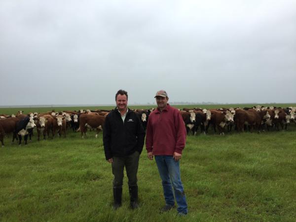 Simon Hunt and Glenn Bowman_Knight Itallian Ryegrass pasture